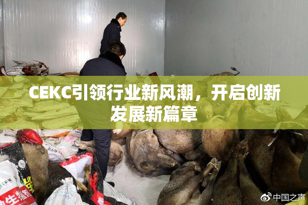 CEKC引领行业新风潮，开启创新发展新篇章