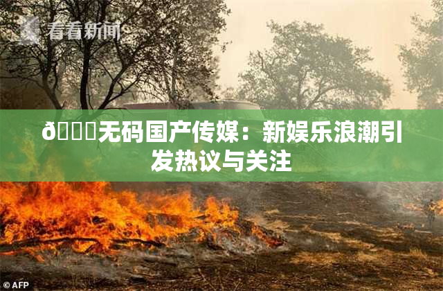 🔞无码国产传媒：新娱乐浪潮引发热议与关注