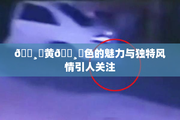 🌸‌黄🌸‌色的魅力与独特风情引人关注
