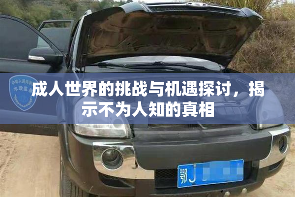 成人世界的挑战与机遇探讨，揭示不为人知的真相