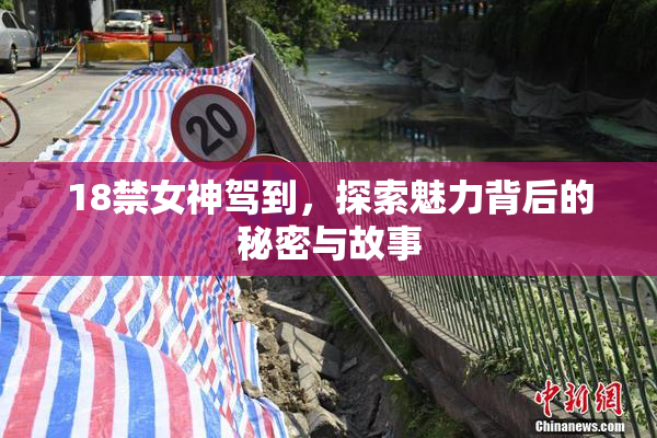 18禁女神驾到，探索魅力背后的秘密与故事
