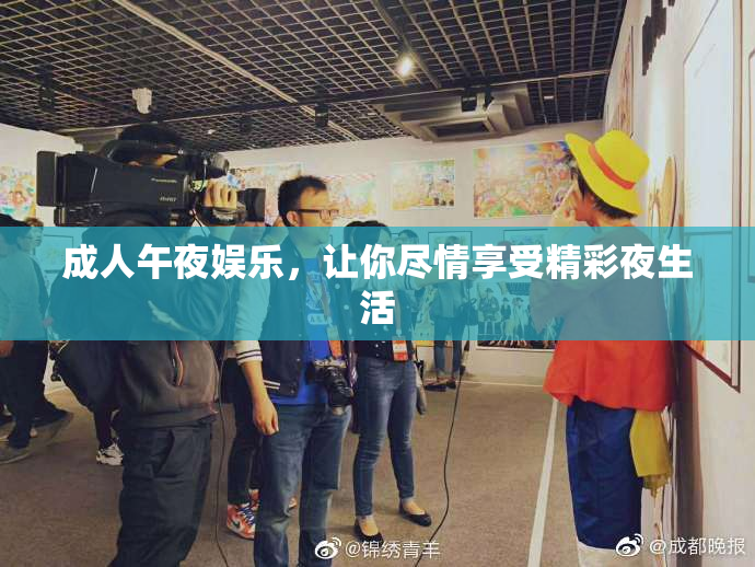 成人午夜娱乐，让你尽情享受精彩夜生活
