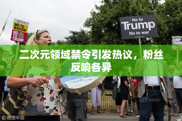 二次元领域禁令引发热议，粉丝反响各异