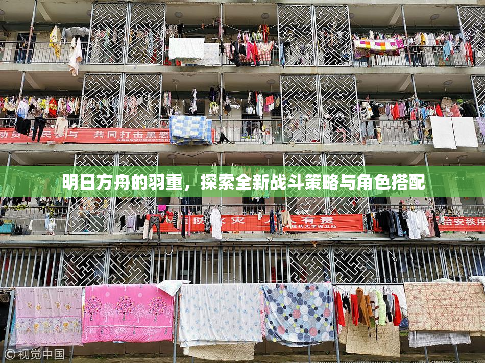 明日方舟的羽重，探索全新战斗策略与角色搭配