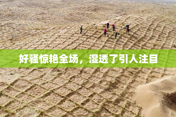 好骚惊艳全场，湿透了引人注目