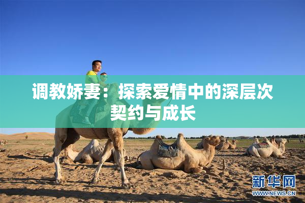 调教娇妻：探索爱情中的深层次契约与成长