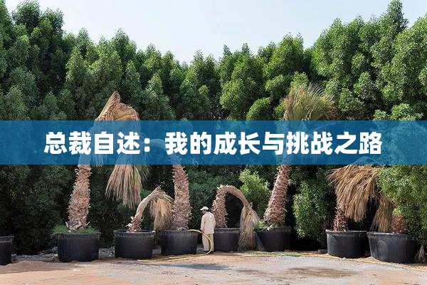 总裁自述：我的成长与挑战之路