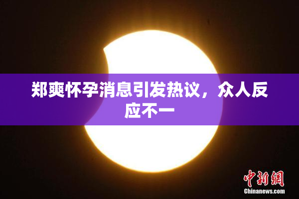 郑爽怀孕消息引发热议，众人反应不一