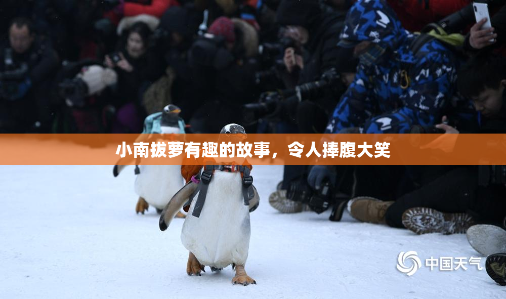 小南拔萝有趣的故事，令人捧腹大笑
