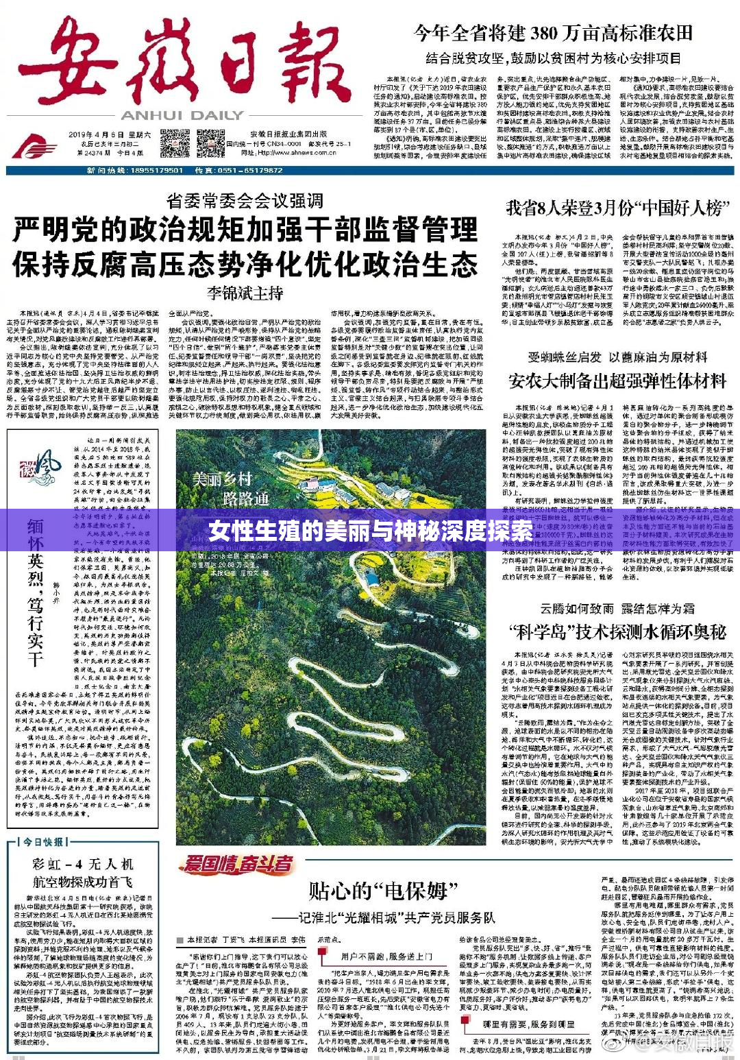 女性生殖的美丽与神秘深度探索