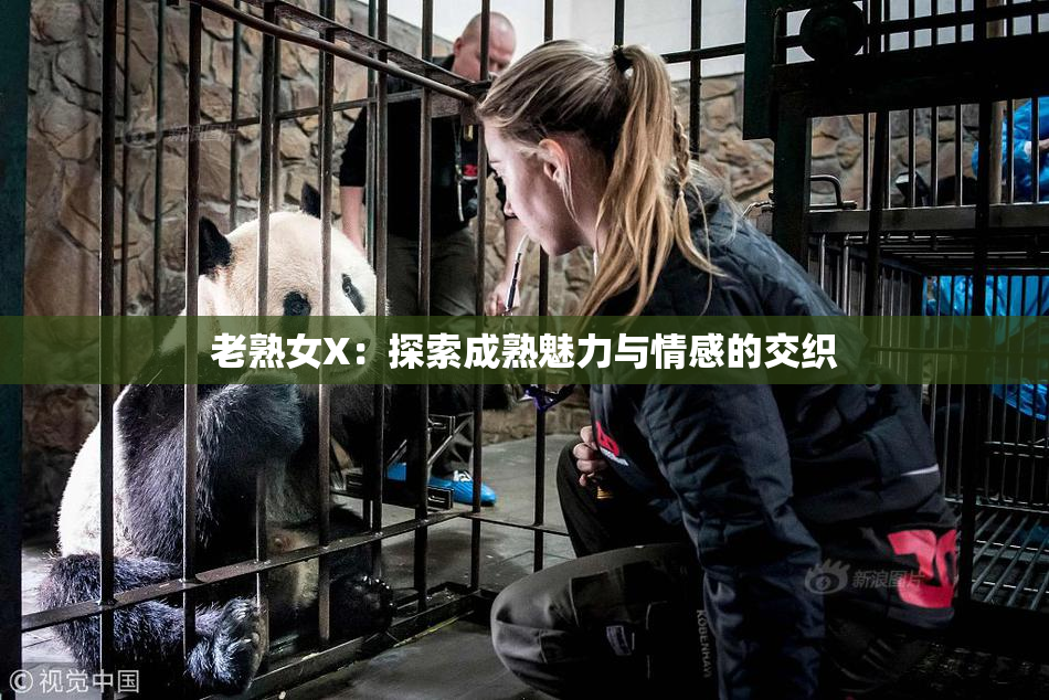 老熟女X：探索成熟魅力与情感的交织