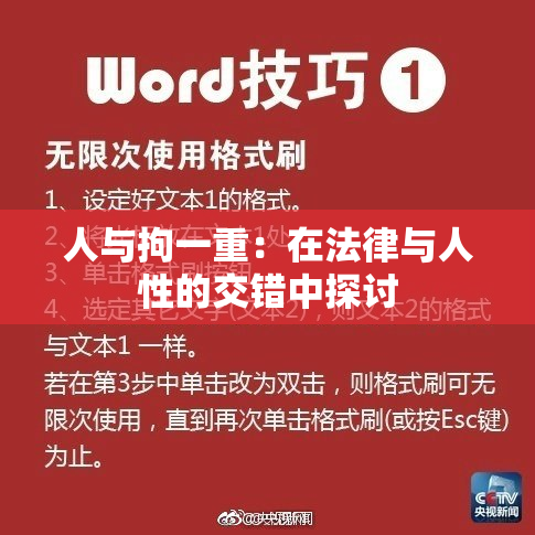 人与拘一重：在法律与人性的交错中探讨