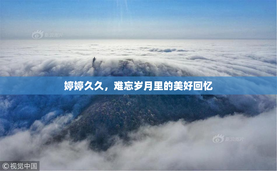 婷婷久久，难忘岁月里的美好回忆