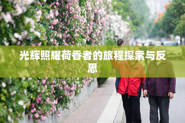光辉照耀荷香者的旅程探索与反思