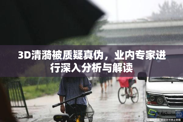 3D清漪被质疑真伪，业内专家进行深入分析与解读