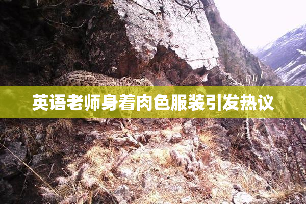 英语老师身着肉色服装引发热议