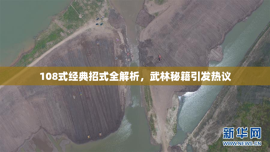 108式经典招式全解析，武林秘籍引发热议