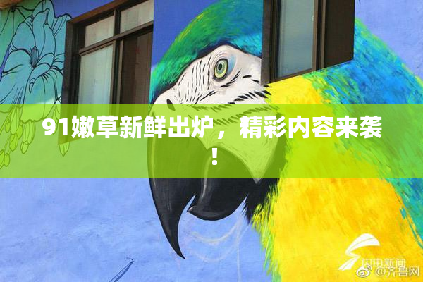 91嫩草新鲜出炉，精彩内容来袭！