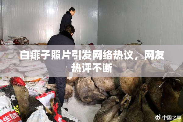 白痱子照片引发网络热议，网友热评不断