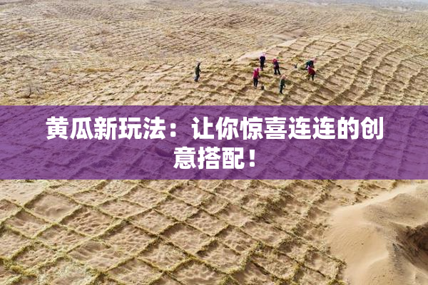 黄瓜新玩法：让你惊喜连连的创意搭配！