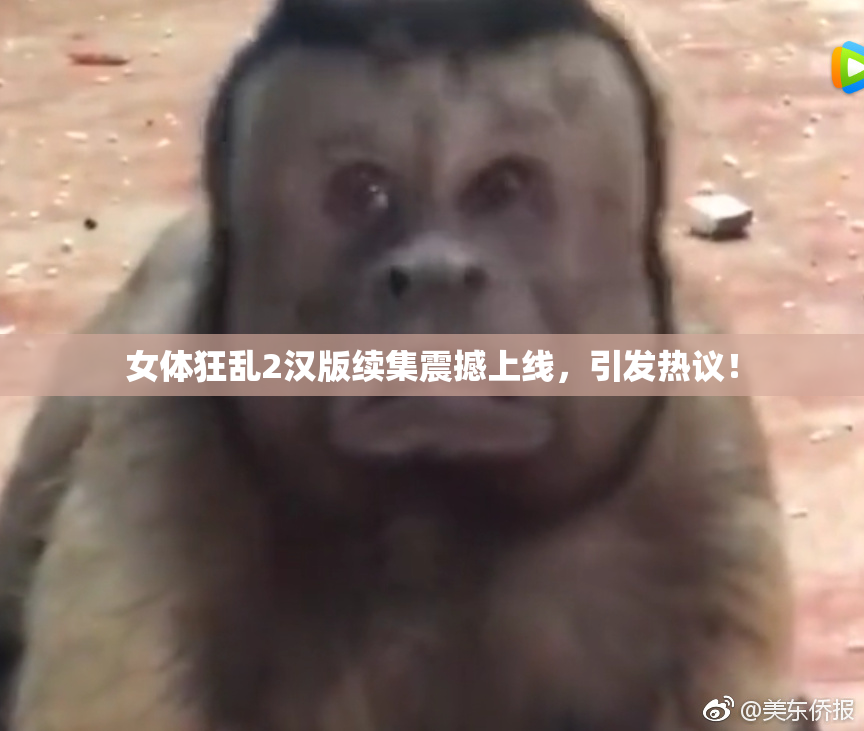 女体狂乱2汉版续集震撼上线，引发热议！