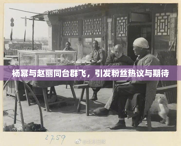 杨幂与赵丽同台群飞，引发粉丝热议与期待