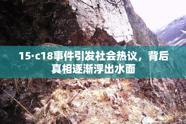 15·c18事件引发社会热议，背后真相逐渐浮出水面