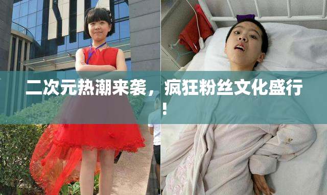 二次元热潮来袭，疯狂粉丝文化盛行!