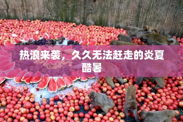 热浪来袭，久久无法赶走的炎夏酷暑
