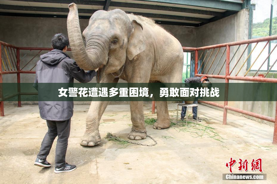 女警花遭遇多重困境，勇敢面对挑战