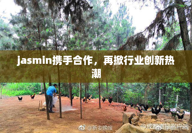 jasmin携手合作，再掀行业创新热潮