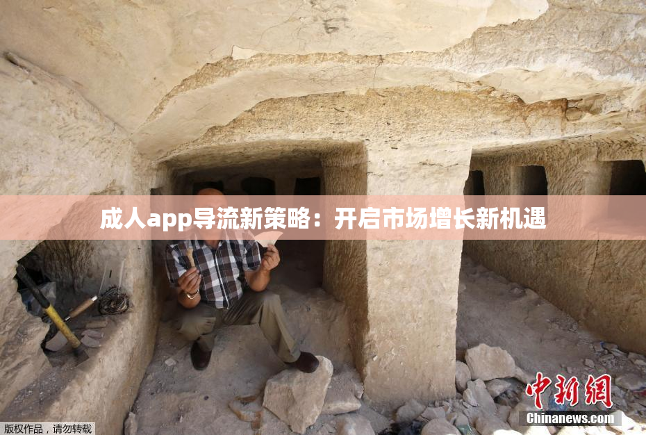 成人app导流新策略：开启市场增长新机遇