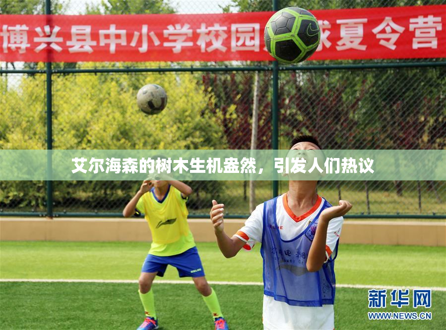 艾尔海森的树木生机盎然，引发人们热议