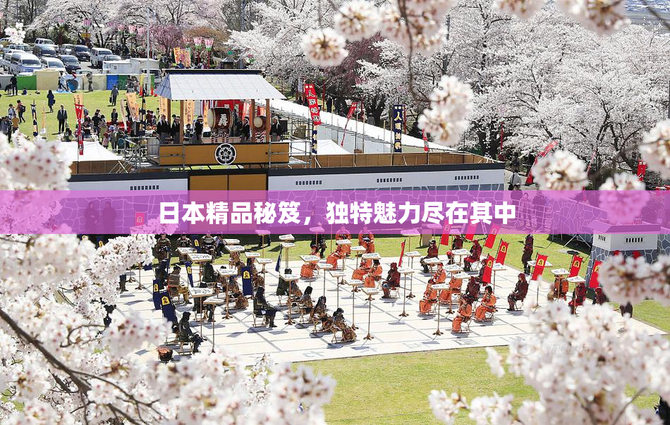 日本精品秘笈，独特魅力尽在其中