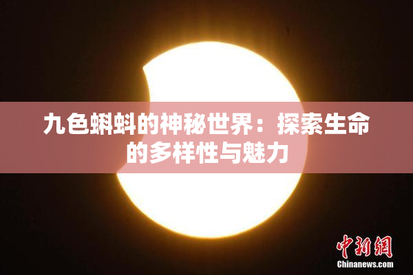 九色蝌蚪的神秘世界：探索生命的多样性与魅力