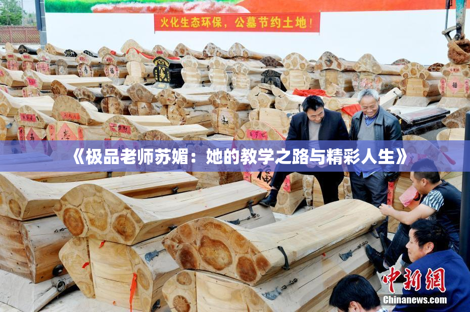 《极品老师苏媚：她的教学之路与精彩人生》