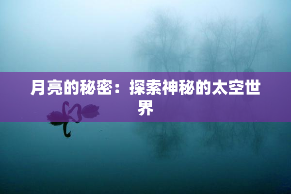 月亮的秘密：探索神秘的太空世界
