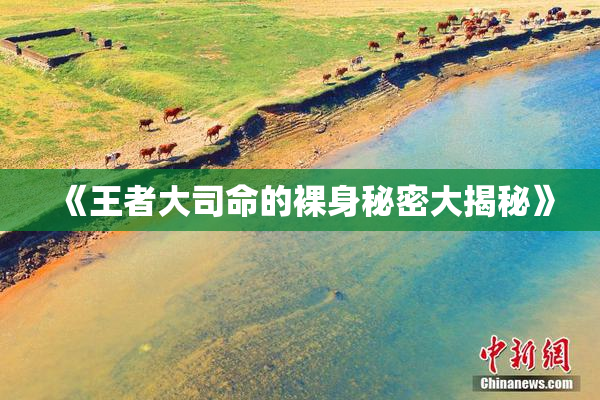 《王者大司命的裸身秘密大揭秘》