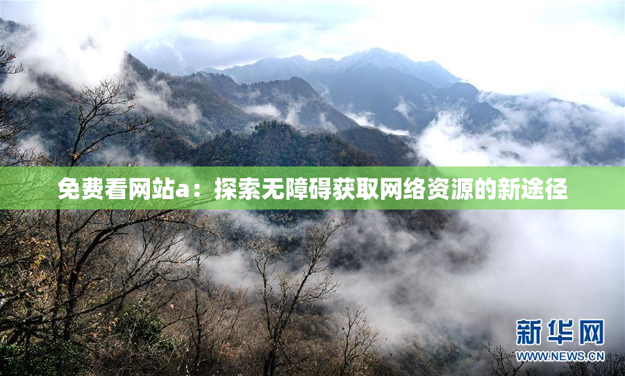 免费看网站a：探索无障碍获取网络资源的新途径