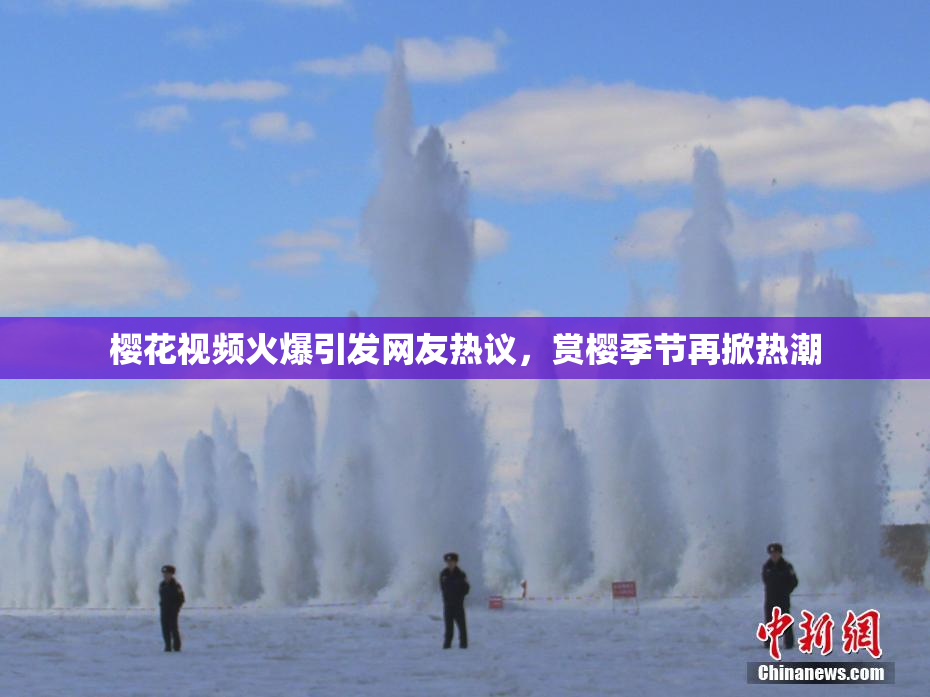 樱花视频火爆引发网友热议，赏樱季节再掀热潮