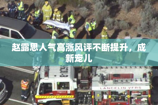 赵露思人气高涨风评不断提升，成新宠儿