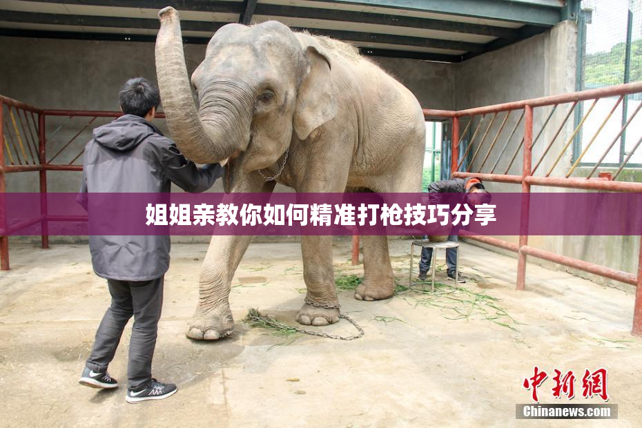姐姐亲教你如何精准打枪技巧分享