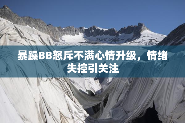暴躁BB怒斥不满心情升级，情绪失控引关注