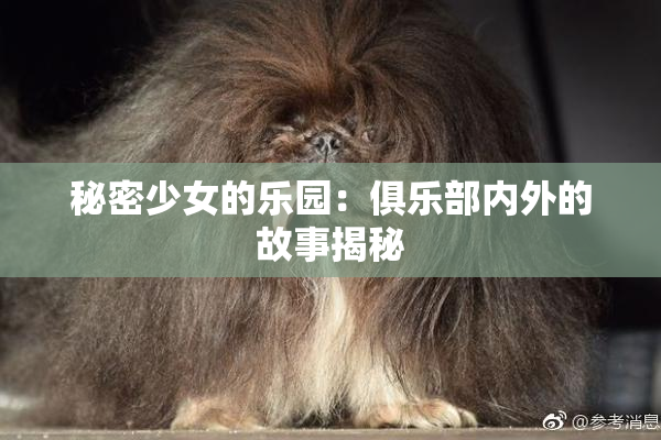 秘密少女的乐园：俱乐部内外的故事揭秘