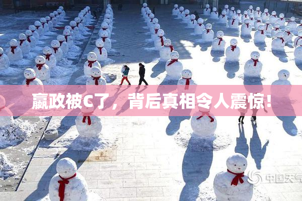 嬴政被C了，背后真相令人震惊！