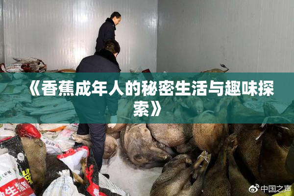 《香蕉成年人的秘密生活与趣味探索》