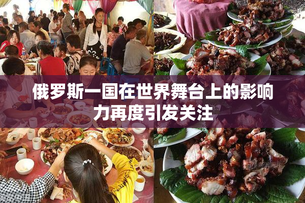 俄罗斯一国在世界舞台上的影响力再度引发关注