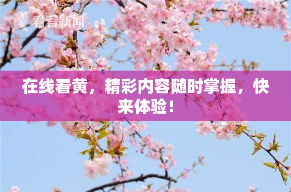 在线看黄，精彩内容随时掌握，快来体验！
