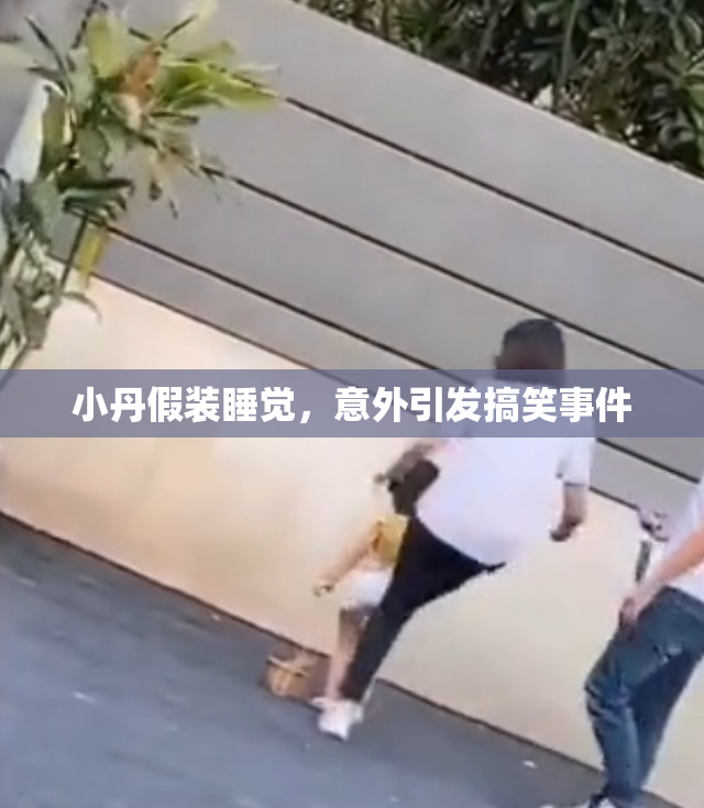 小丹假装睡觉，意外引发搞笑事件
