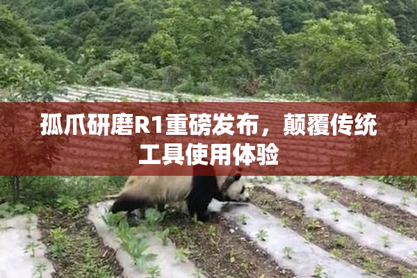 孤爪研磨R1重磅发布，颠覆传统工具使用体验